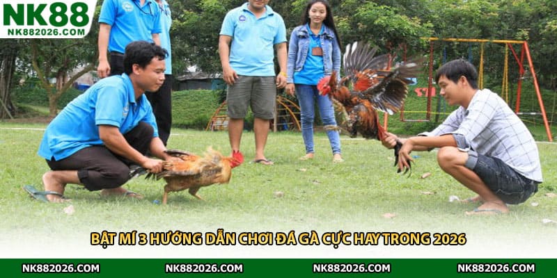 Bật mí 3 hướng dẫn chơi đá gà cực hay trong 2026