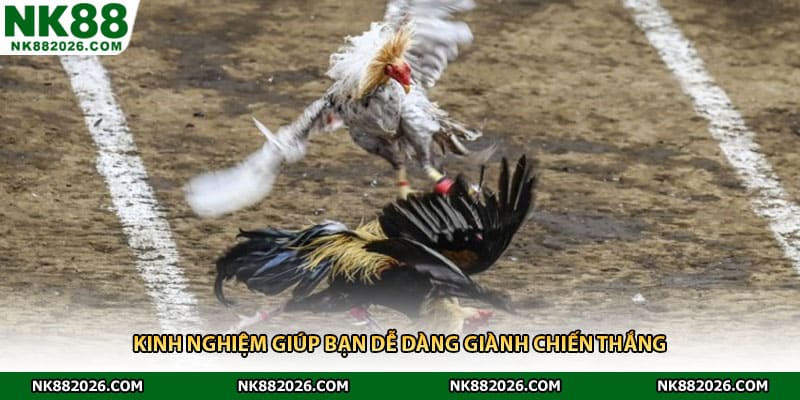Kinh nghiệm giúp bạn dễ dàng giành chiến thắng