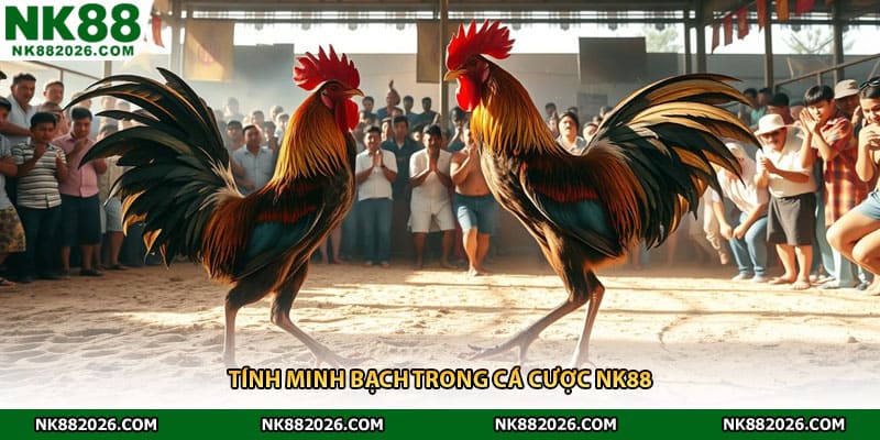 Tính minh bạch trong cá cược nk88