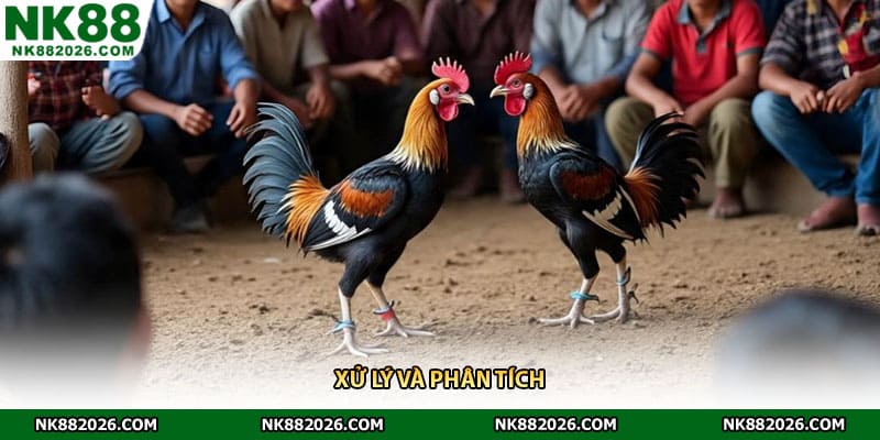 Xử lý và phân tích